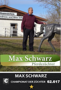 M. Schwarz