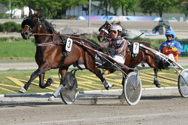 Mac Smily gewinnt die Breeders Course-Elimination