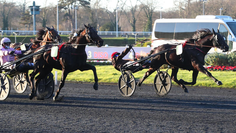 maestrovrie-260124-69750fbbe9773043163858