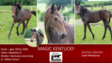 Magic-Kentucky