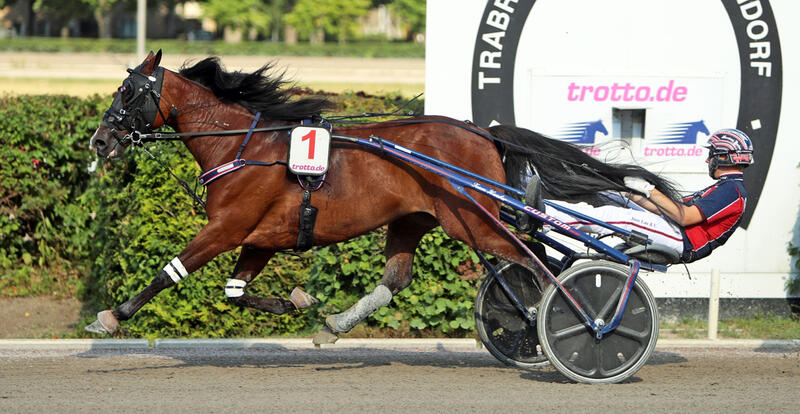 Marciano Hauber und Kosy Occagnes Foto Marius Schwarz