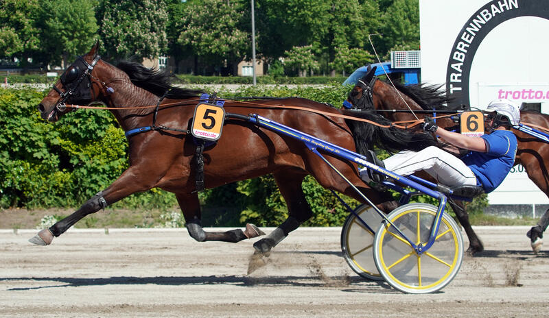 Massimo Arickx und Luna Scott Foto Marius Schwarz