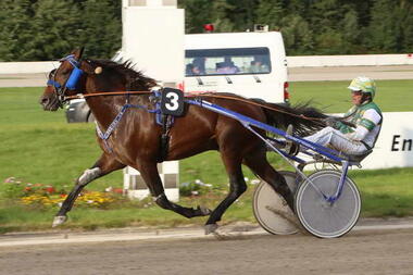 Mc Arthur gewinnt das St. Leger 2017