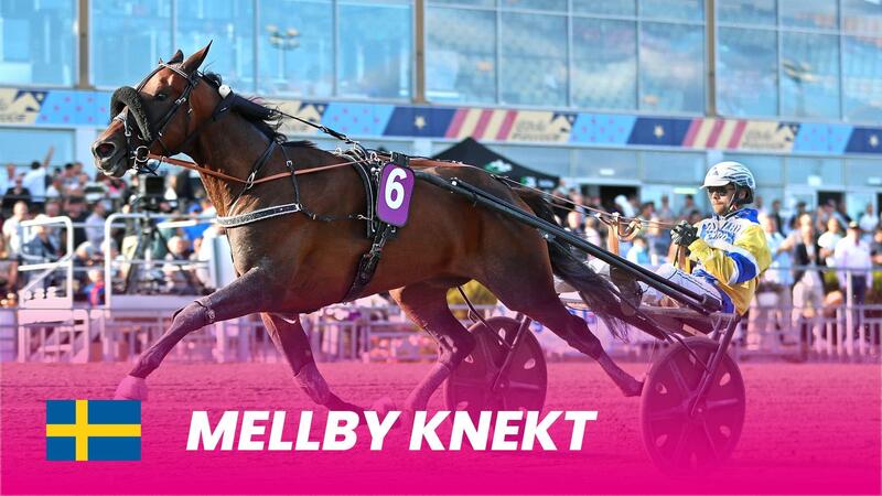 Mellby-Knekt_1920x1080