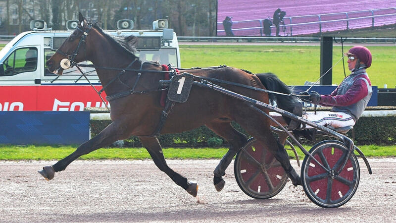 meursault-250313-67d2f0b80730d887447403