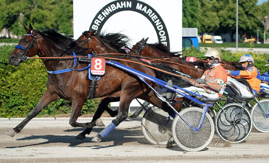 Michael Nimczyk und Hercules Petnic Foto Marius Schwarz