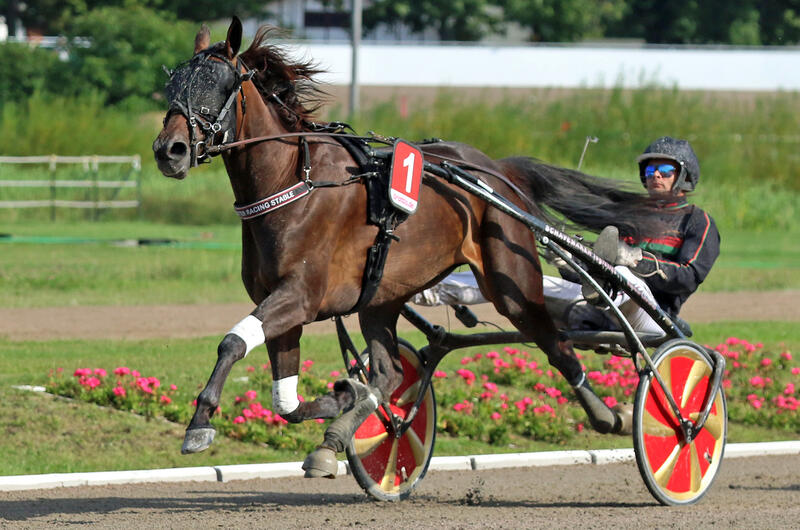 Michel Rothengatter und Speedrise Lady S Foto Marius Schwarz