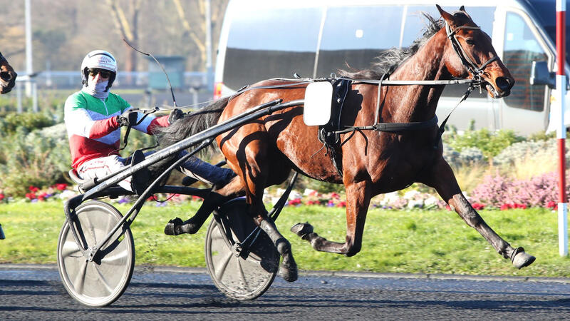 mille-etoiles-020225-679f8184293c8274315086