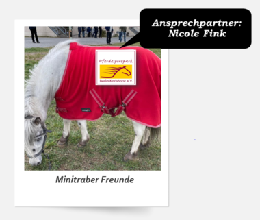 Minitraber Freunde