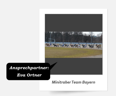 Minitraber Team Bayern