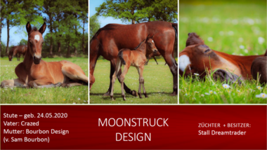 Moonstruck-Design