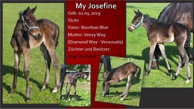 My Josefine