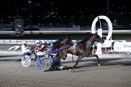 napoli-ippodromo-agnano-stefano-grasso-photo