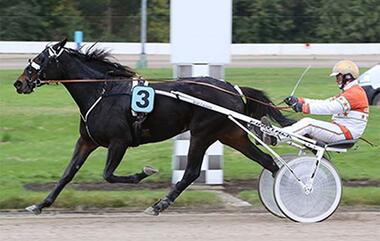 Nelly Pepper gewinnt den Trial 2 zu St. Leger