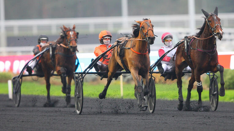 nocive-du-choquel131225-693ef1c2ad0fe827131873 nocive-du-choquel131225-693ef1c2ad0fe827131873