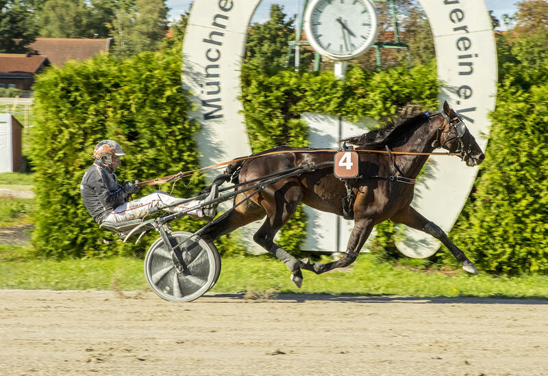 Ojuul Hazelaar_Z140925F