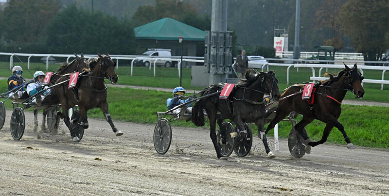 orsimangelli2bat2artikelbild-1280