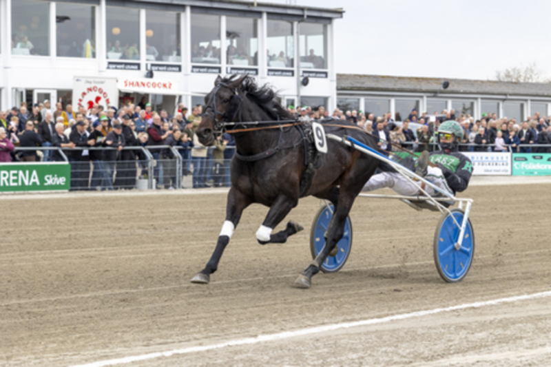 Point of Perfect Point of Perfect