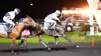 Prix Gordonia