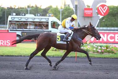 Prix Xavier de Saint-Palais