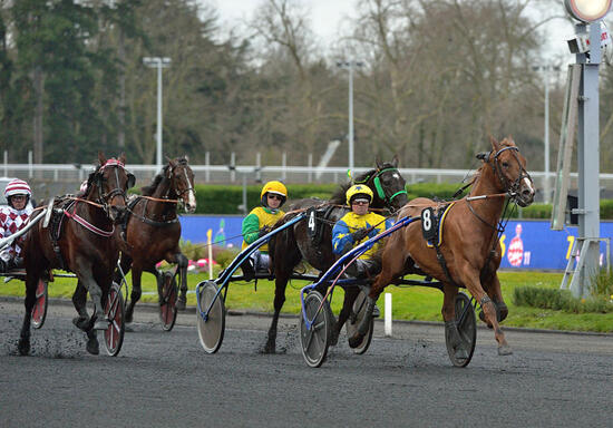 prix_ovide_moulinet_falcao_de_laurma