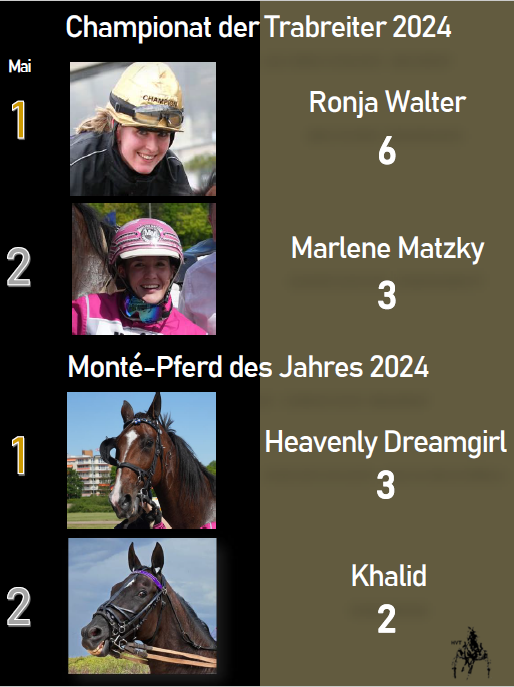 Reiter-Montepferd