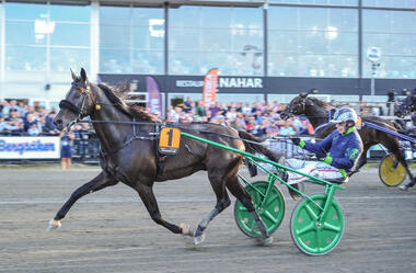 ringostarr-treb-Sundsvall-Open-Trot_imagelarge
