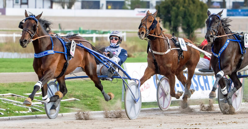 Robbin Bot und Mister Ed Heldia Foto Marius Schwarz