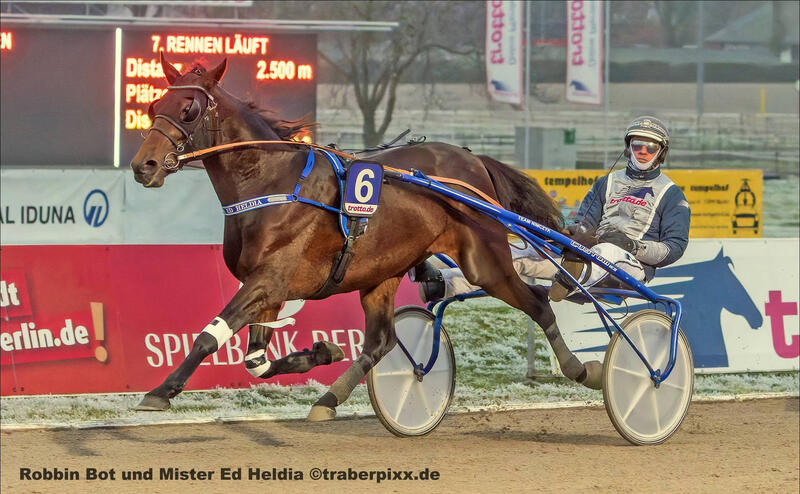 Robbin Bot und Mister Ed Heldia