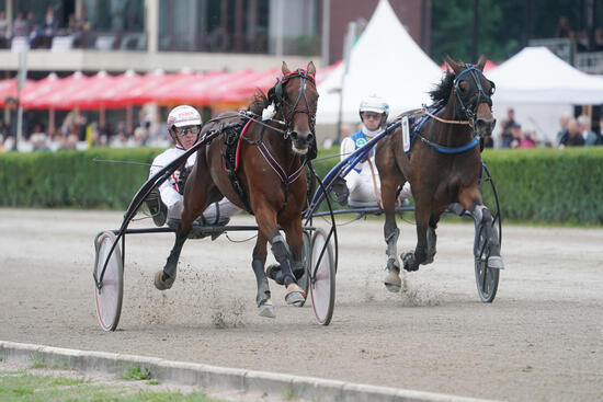 Robin Bakker und Whoopie Diamant Foto Marius Schwarz