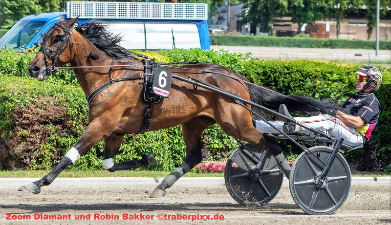 Robin Bakker und Zoom Diamant Copyright traberpixx.de