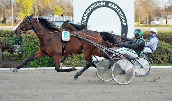 Ronald de Beer und Calypso Foto Marius Schwarz