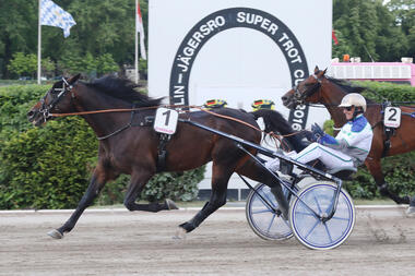 Samir gewinnt den Vorlauf zum Super Trot Cup