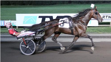 Screenshot 2021-08-01 at 11-36-16 Meadowlands Svanstedt trainees sweep Hambletonian elims