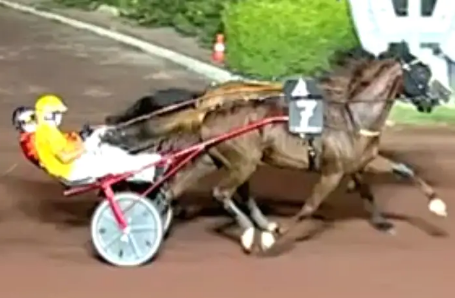 Screenshot 2021-08-16 at 12-18-15 Gran Premio Citta’ di Montecatini – Google Suche