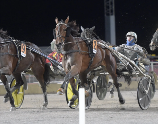 Screenshot 2021-11-08 at 15-59-40 breeders crown eskilstuna – Google Suche