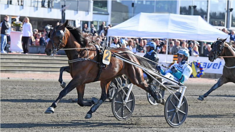 Screenshot 2022-05-08 at 09-50-30 Konung Gustaf V s Pokal · Senaste nyheterna om trav · Travronden
