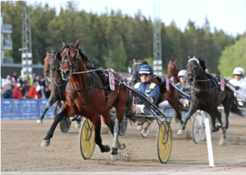 Screenshot 2022-05-22 at 08-04-26 Elitloppfeltet tager form