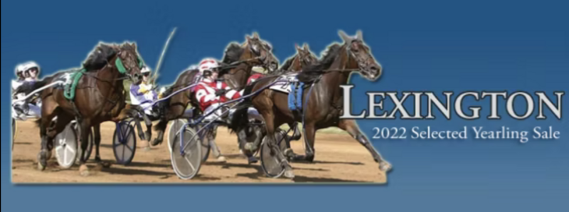 Screenshot 2022-10-04 at 15-46-12 Lexington Selected Yearling Sales 2022 – Google Suche