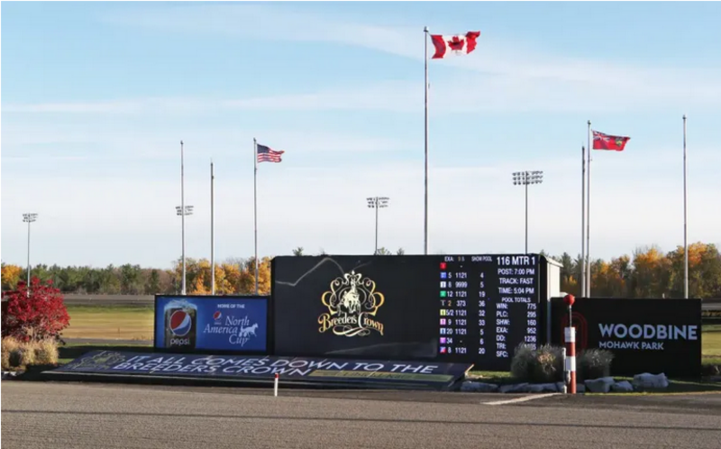 Screenshot 2022-10-29 at 12-21-12 Spotlight on the winning Breeders Crown breeders