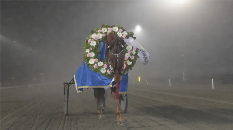 Screenshot 2022-11-14 at 10-10-08 Breeders Crown-finaler i Eskilstuna – 13 november 2022 · Senaste nyheterna om trav · Travronden