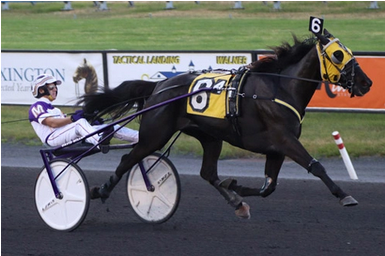 Screenshot 2023-06-25 at 09-30-11 Meadowlands M-M's Dream dominant in Miss Versatility Series