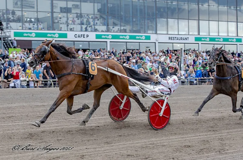 Screenshot 2023-08-28 at 12-12-26 Holger Danske vandt Dansk Trav Derby 2023 - Travet.dk