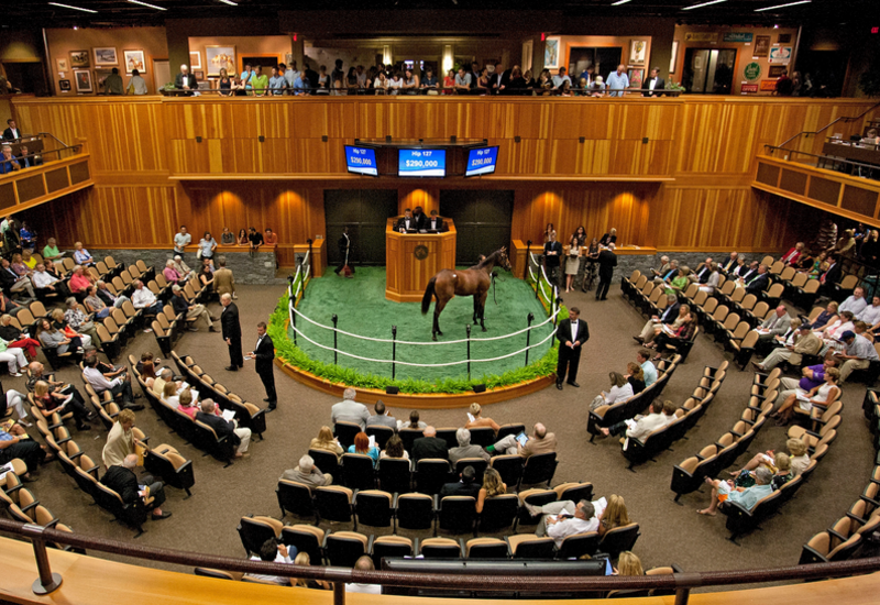 Screenshot 2023-10-06 at 13-02-10 Fasig-Tipton Sales Pavillon – Google Suche(1)