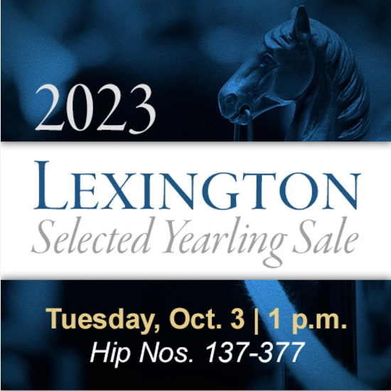 Screenshot 2023-10-06 at 13-03-53 Lexington Selected Yearling Sales 2023 – Google Suche