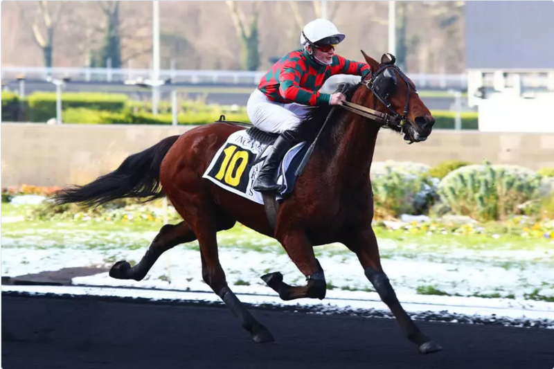 Screenshot 2024-01-21 at 10-00-56 Prix de Pardieu Kyrielle des Vaux ne rate pas le coche