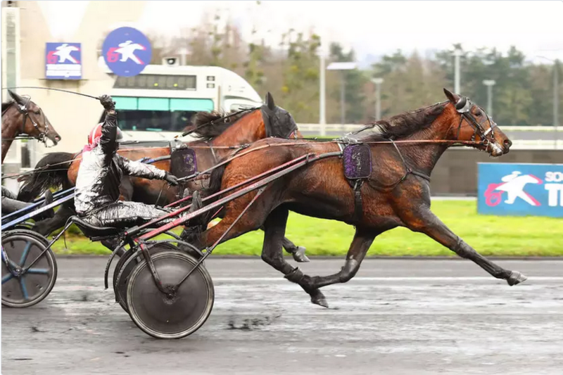 Screenshot 2024-02-19 at 17-23-39 Prix Comte Pierre de Montesson – Critérium des Jeunes La Joyeuse Wicz à la plus grande joie