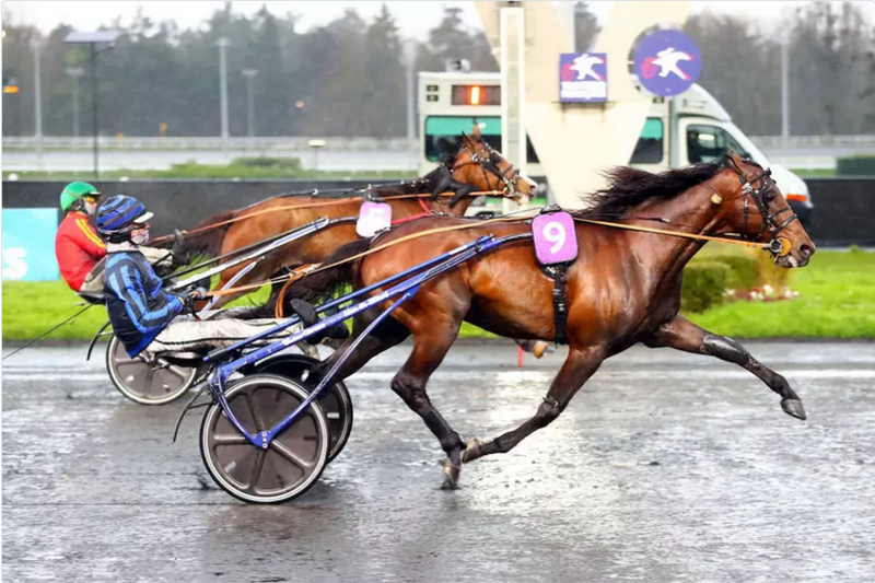 Screenshot 2024-03-03 at 11-10-36 Prix de Sélection – Prix Face Time Bourbon Idao de Tillard sort le grand jeu