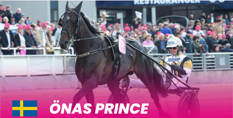 Screenshot 2024-05-05 at 10-00-11 Önas Prince till Elitloppet - Solvalla