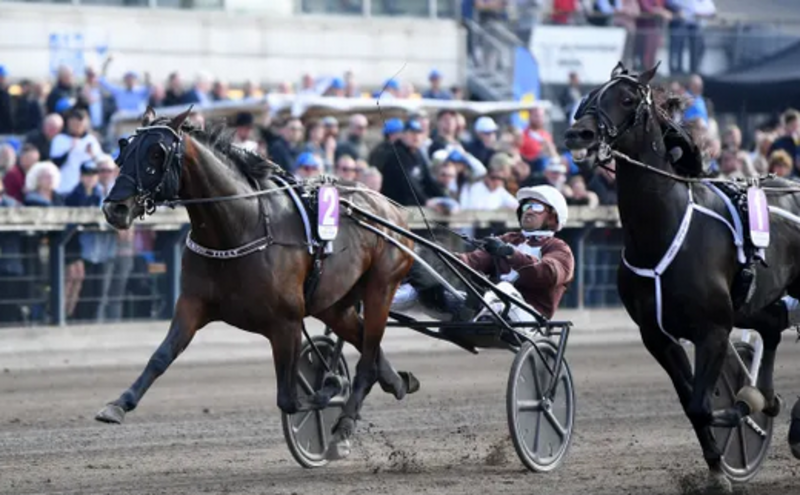 Screenshot 2024-05-05 at 10-11-38 Konung Gustaf V s Pokal - Google Suche